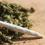 THCA Flower in Bulk: Unlocking the Potential of Cannabis